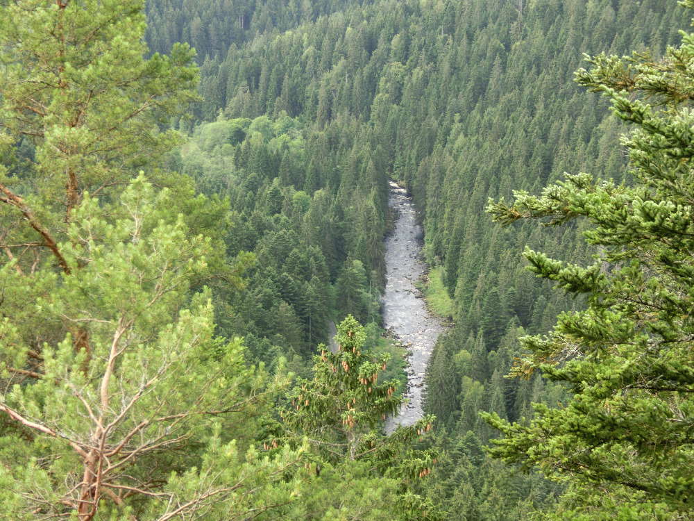 Řeka Vydra